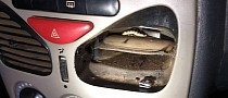 Snake Hides Inside Air Vents and Bites Woman in a Car in Brazil