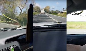 Snake Hitches a Ride in Australia, Scares the Hell Out of the Couple Inside