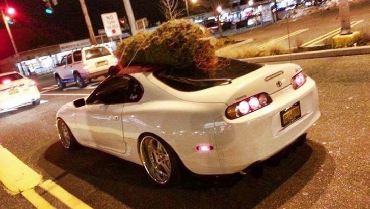 Toyota Supra Hauling a Tree