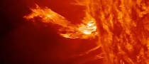 Solar Jet Hunting Is the New Extreme Sport for the Eyes of Amateur Astronomers