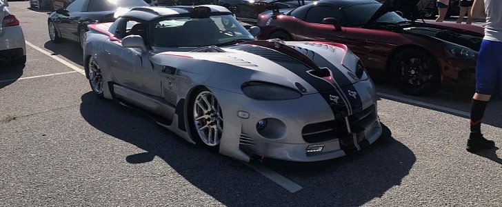 Somebody Did This to a Viper