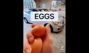 Somebody Tried to Lift a Compact Car Using Eggs, Apparently Needed Just Six Days