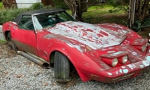 Someone Abandoned This 1970 Corvette with Windows Open, the Sight Is Now Painful