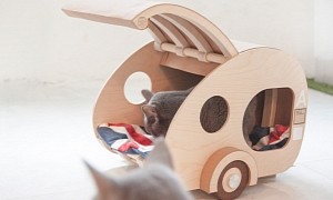 Someone Designed and Built a Wooden Teardrop Camper for Cats