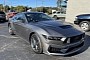 Someone Is Trying To Cash in Early and Already Selling a Brand-New Ford Mustang Dark Horse
