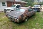 Someone Should Save This 1971 Chevrolet Chevelle SS LS3 Rotting Away in a Yard