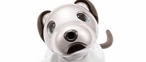 Sony’s aibo Robot Puppy Coming to The U.S. for $2,899