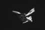 SpaceShipTwo 'Feathers' Re-Entry Test