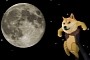 SpaceX Is Literally Putting a Dogecoin on the Literal Moon, the DOGE-1 Satellite