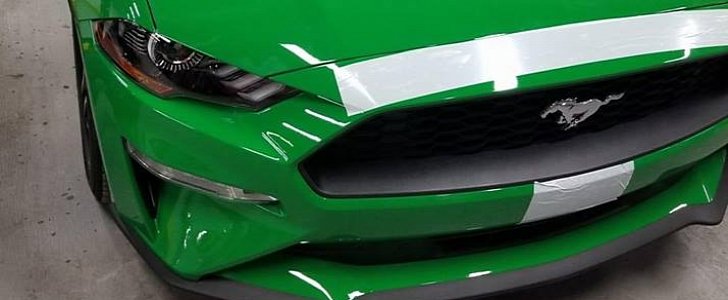 Spinel Green 2019 Ford Mustang