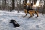Spot, the Famous Robot Dog, to Use Its Skills for Firefighting Operations in New York