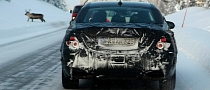 Spyshots: 2013 Mercedes S-Class and a Reindeer Winter Testing