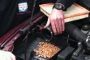 Squirrel Deposits Hundreds of Nuts in a Vauxhall Astra, Nearly Ruins It