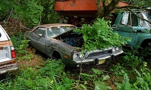 Stash of Classic Mopars Hidden on a Farm Field Includes 1968 Charger, 1974 Challenger