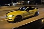 Stock Shelby GT350 Completely Unafraid of Mercedes C63 AMG With Bolt-On Mods