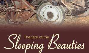 Story of the French Sleeping Beauties