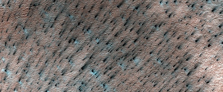 Dark streaks on Mars look like some ancient forest