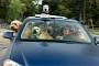 Study Shows Dogs Lead to Distracted Driving
