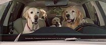 Subaru Ascent Brings Back The Barkleys Dog Family Commercials