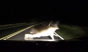 Subaru BRZ Driver Almost Hits Deer on Pitch Black Mountain Road