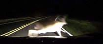 Subaru BRZ Driver Almost Hits Deer on Pitch Black Mountain Road