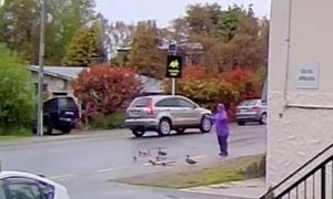 Subaru Driver Caught on Camera Mowing Down Ducklings, Cops Refuse to Arrest Him