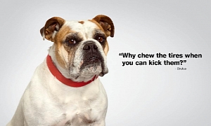 Subaru Teases New "Dog Tested. Dog Approved" Ads for 2013 Puppy Bowl