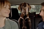 Subaru XV Cosstrek Commercial: Man’s Best Friend
