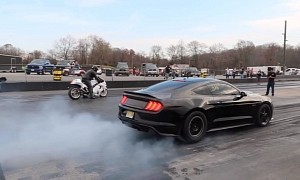 Supercharged Ford Mustang GT Drag Races Suzuki Hayabusa, Somebody Gets Crushed