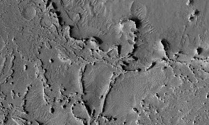 Surface Ridges on Mars Look Like Fossils of Alien Creatures