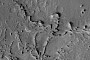 Surface Ridges on Mars Look Like Fossils of Alien Creatures