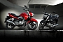 Suzuki Inazuma 250 - UK Pricing and Details