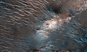 Swarms of Sandworms Seem to Converge on Massive Carcass in Stunning Martian Savagery