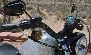 Swarovski Bling on Harley-Davidson Sportster