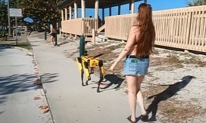 Taking the Robot Dog Out for a Walk on a Leash Is a Sign That Humanity Is Ready