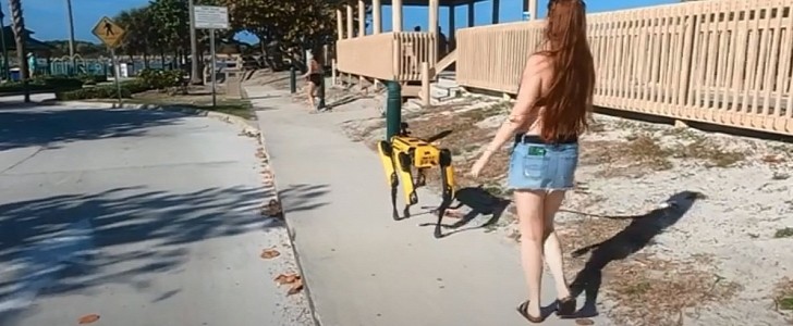 Someone took a Boston Dynamics Spot robot out for a walk on a leash in Florida