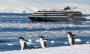 Get Up Close and Personal With Penguins on the 413-Foot World Explorer