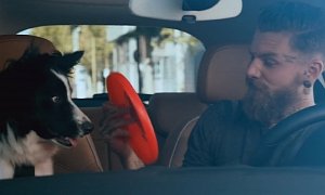 Tattooed Youngster and Frisbee-Loving Dog Star in Adam Rocks Commercials