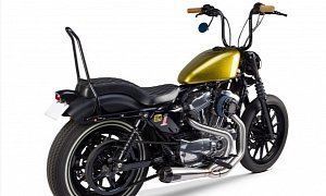 TBR Shows Full Exhaust, Intake and Fuel Management Systems for Sportsters