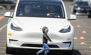 "Tesla About to Hit a Small Child Mannequin" Meme Contest