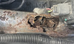 Tesla Adds Another Chronic Defect to Its List: Rusted Reinforcement Bars