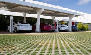Tesla Delivered Over 1 GWh of Zap In June