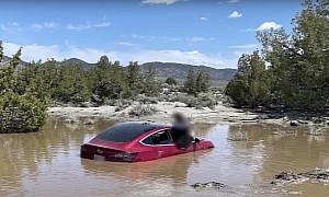 Tesla Driver Ignores Road Sign, Car Drives Into Pond Running on FSD Beta