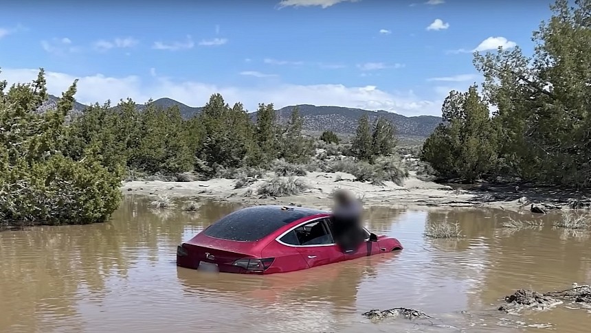 Tesla Model 3 drove straight into a pond
