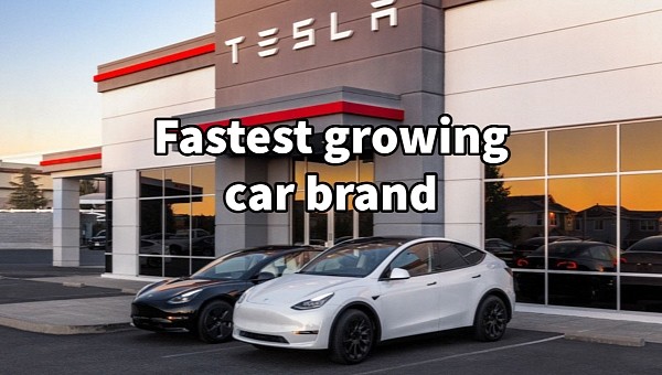 Tesla has more market share in the U.S. than Volkswagen Group, BMW, and Daimler