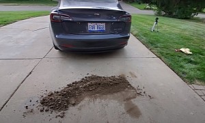 Tesla Model 3 Gathers Three Pounds of Dirt Each Month in "Secret Compartment"