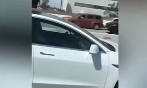 Tesla Model 3 Driver Sound Asleep at the Wheel, as Car Speeds Down Cali Highway