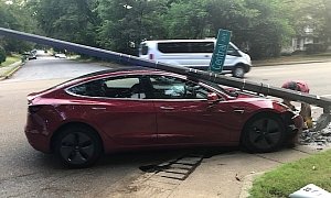 Tesla Model 3 Drops Pole on Self, Passengers Walk Away