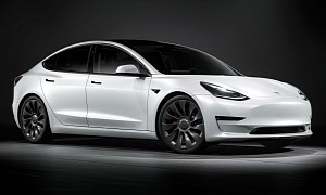 Tesla Model 3 Facebook Group Post Presents Telling Picture of BEV Ownership