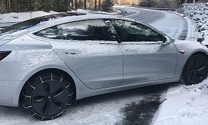 Tesla Model 3 Loses Snow Fight, Another Hits Deer at 45 MPH in First Crashes